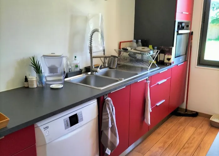 Le Jardin Des Oiseaux