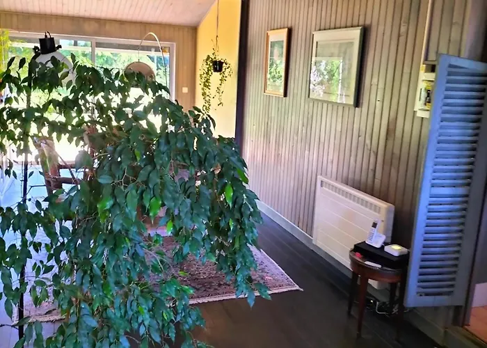 Le Jardin Des Oiseaux Couette-café